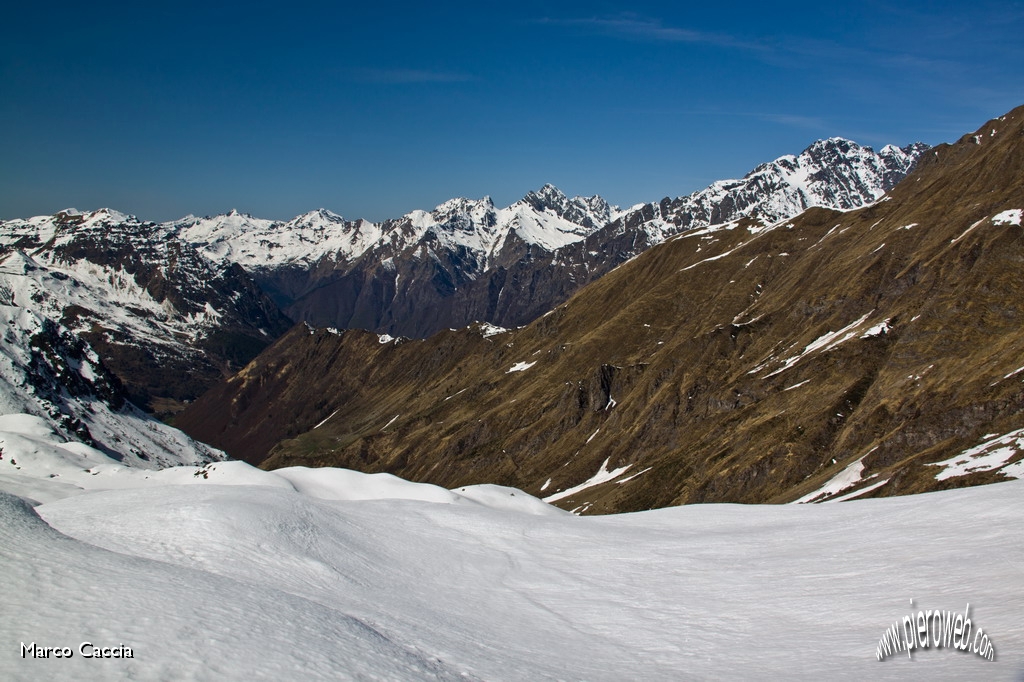 18_L'erba avanza.JPG